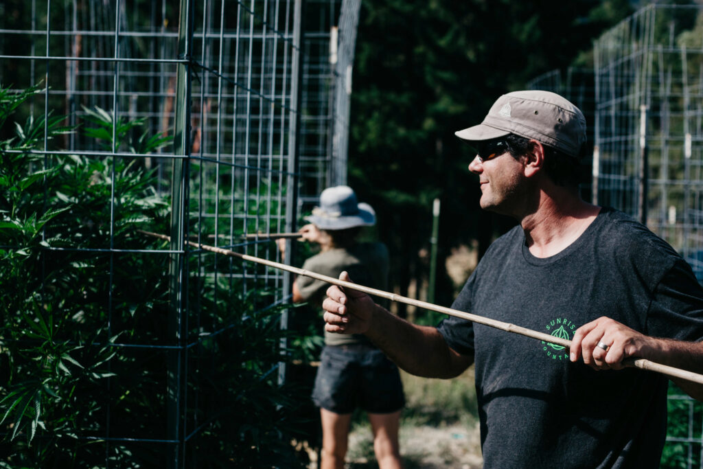 Dave Farming at Sunrise Mountain Farms