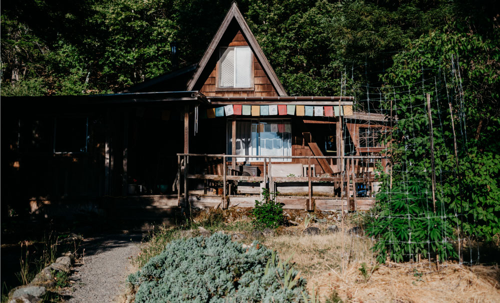 sunrise mountain farm